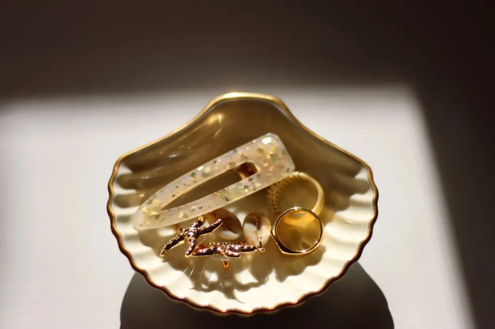 barrette à cheveux